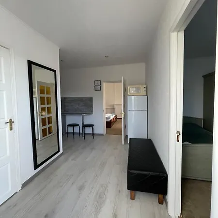 With Kitchen And Garden Apartment *