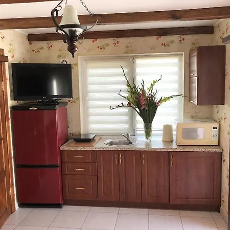 With Kitchen And Garden Apartment *