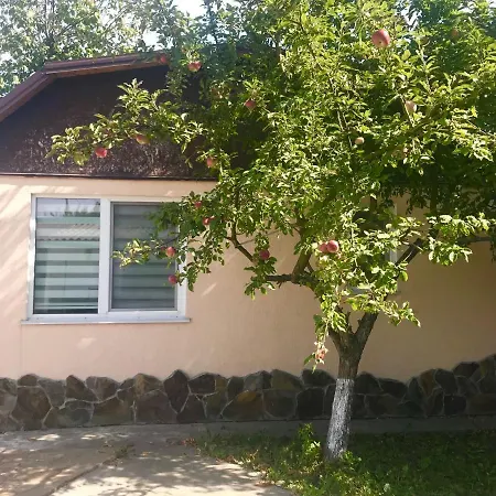 Apartment With Kitchen And Garden *